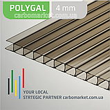 Стільниковий полікарбонат 2100Х12000Х4 мм POLYGAL Clear (прозорий), фото 5