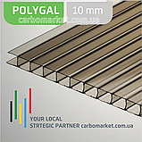 Стільниковий полікарбонат 2100Х9000Х6 мм POLYGAL Bronze світла бронза LT40%, фото 4