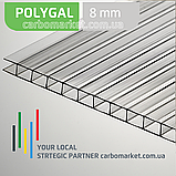Стільниковий полікарбонат 2100Х12000Х4 мм POLYGAL Clear (прозорий), фото 3