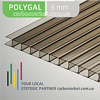 Стільниковий полікарбонат 2100Х3000Х6 мм POLYGAL Bronze світла бронза LT40%