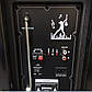 100 W Акустична портативна колонка з мікрофоном SS-1010C аудіосистема, портативна акустика, фото 6