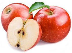 Саджанці яблуні "ЧЕМПІОН". Сорт середнього дозрівання плодів.