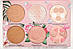 Палетка для контурування physician's Formula All Star Face Makeup Palette 33 г, фото 5