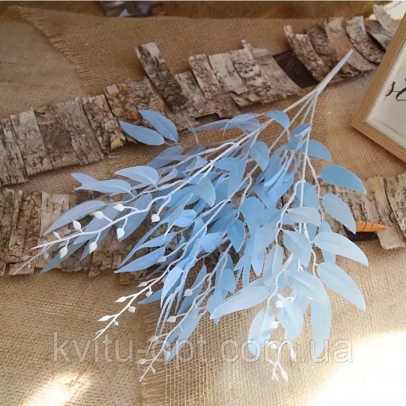 Кущ рускуса блакитний гілка верби 50 см, фото 1