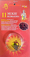 Бусина Рудракші 11 ликов сертифікована біля 10-15мм в метал.обробці, rudraksha 11 mukhi, Бусина Рудракши 11