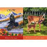 Childrens Spirit Animal Cards (Дитячі карти Дух Тварин), фото 3