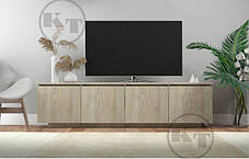 Тумба під телевізор МГ-5 441х1700х400мм Компаніт, фото 3