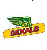 Насіння озимого ріпаку від компанії Монсанта (Dekalb)