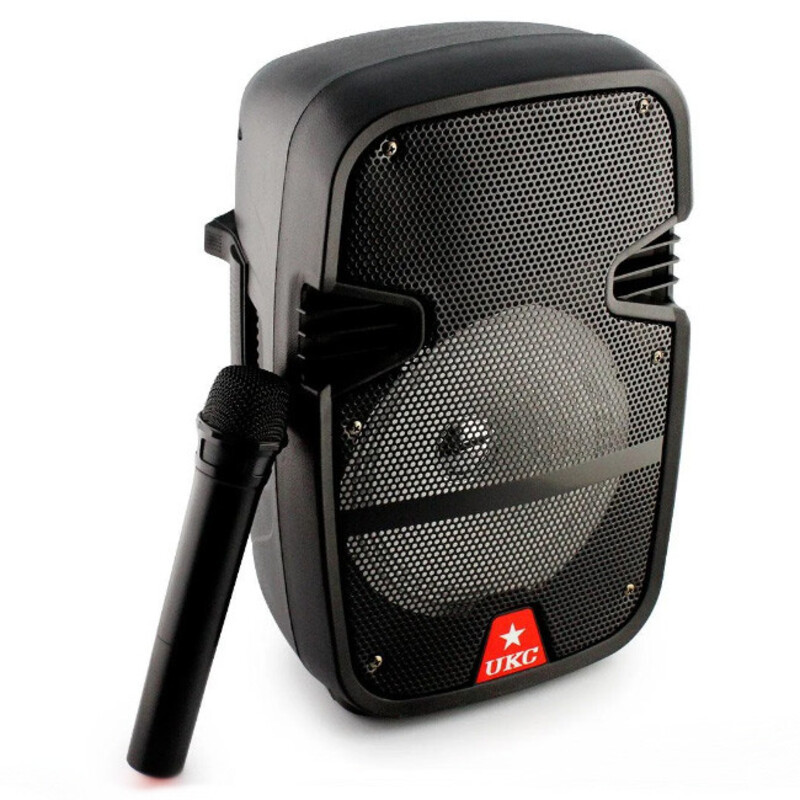 Колонка портативна UKC HS-008BT Bluetooth з FM-радіо і мікрофоном, фото 1