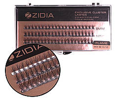 Вії накладні пучкові Полумя Zidia Cluster Lashes Flame Series C 0.10 Mix (3 лєнти 8/10/12 мм)