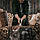 Сокира-колун Fiskars X25 XL 122483 (1015643), фото 5