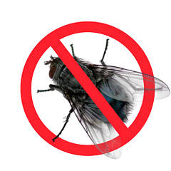 Засоби від літаючих та повзаючих комах