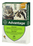 Капли от блох Advantage (Адвантейдж) 40 для котов и декоративных кроликов до 4 кг (1 пипетка 0,4 мл) Bayer