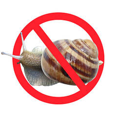 Від слимаків