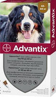 Капли Адвантикс для собак весом 40-60 кг 6,0 мл 1 пипетка BAYER (срок до 09.2023)