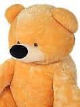 М'яка іграшка - Ведмідь сидячий Бублик медовий, фото 2