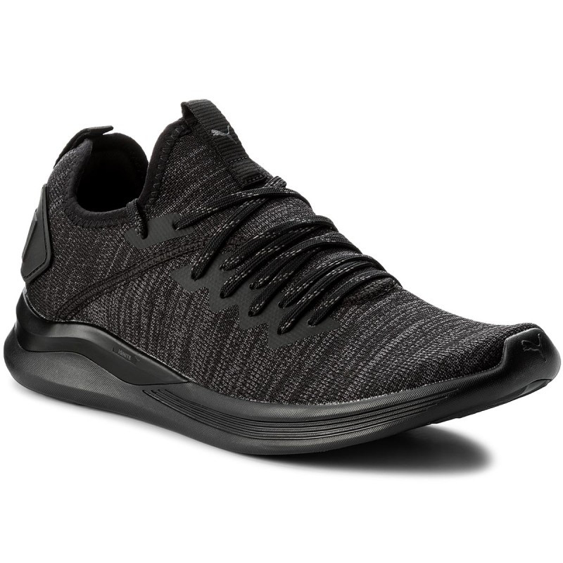 Puma ignite flash clearance evoknit