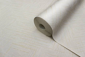 Сірі шпалери під фарбування, вінілові шпалери на папері, шпалери в передпокій Vinil LS Джерри НКП 2-0783 (15х0,53 м)