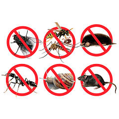 Засоби захисту від комах та шкідників