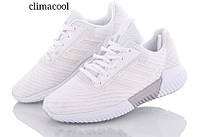Женские кроссовки Adidas Climacool вентилируемые сетка белые () р 36-41