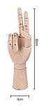 Дерев`яний рухливий манекен кисті руки, 12 "(30 см), фото 2