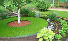 Садовий бордюр Bradas (Польща) 9 м х 15 см Зелений, фото 3