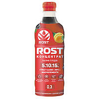 Rost / Рост концентрат 300 мл калійний 5/10/15 Налив плодів