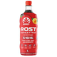 Rost / Рост концентрат 1 л калійний 5/10/15 Налив плодів