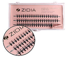 Вії накладні пучкові Zidia Cluster Lashes 16D KIM C 0.10 MIX S (3 лєнти, розмір 8/9/10 мм)