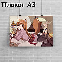 Плакат А3, Вовчиця і прянощі 6
