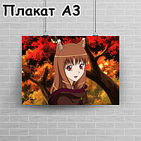 Плакат А3, Вовчиця і прянощі 9
