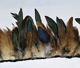 Перова тасьма з пір'я півня. Цвет Gray. Перо 13-20 см. Ціна за 0,5 м., фото 3