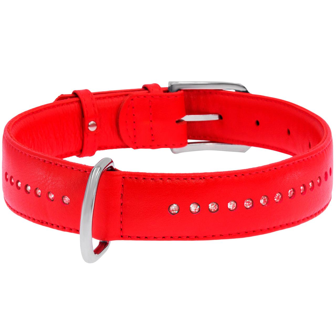 Нашийник шкіра 30-39 см 20 мм стрази Brilliance червоний Collar для собак, фото 1