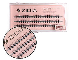 Вії накладні пучкові Zidia Cluster Lashes 16D KIM C 0.10 (3 лєнти, розмір 8 мм)