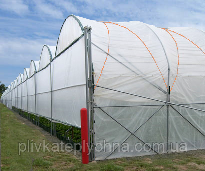 Канат 6мм для кріплення плівки