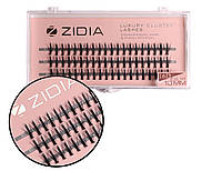 Ресницы накладные пучковые Zidia Cluster Lashes 16D KIM C 0.10 (3 ленты, размер 10 мм)