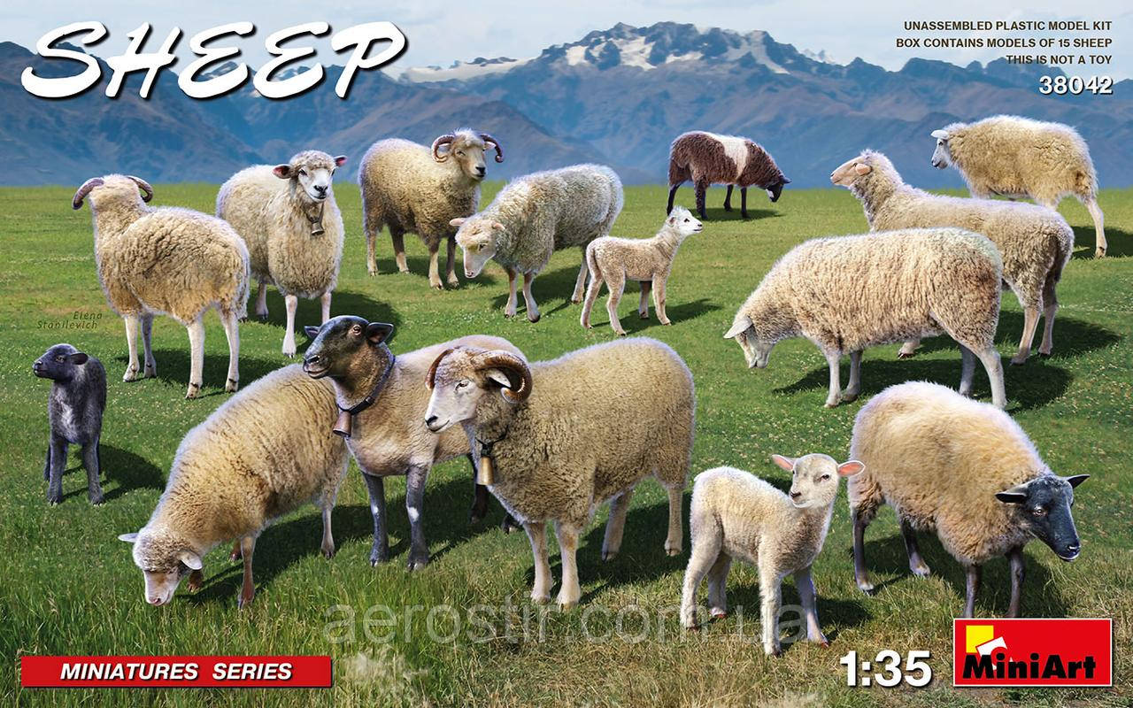 Вівці 1/35 MiniART 38042