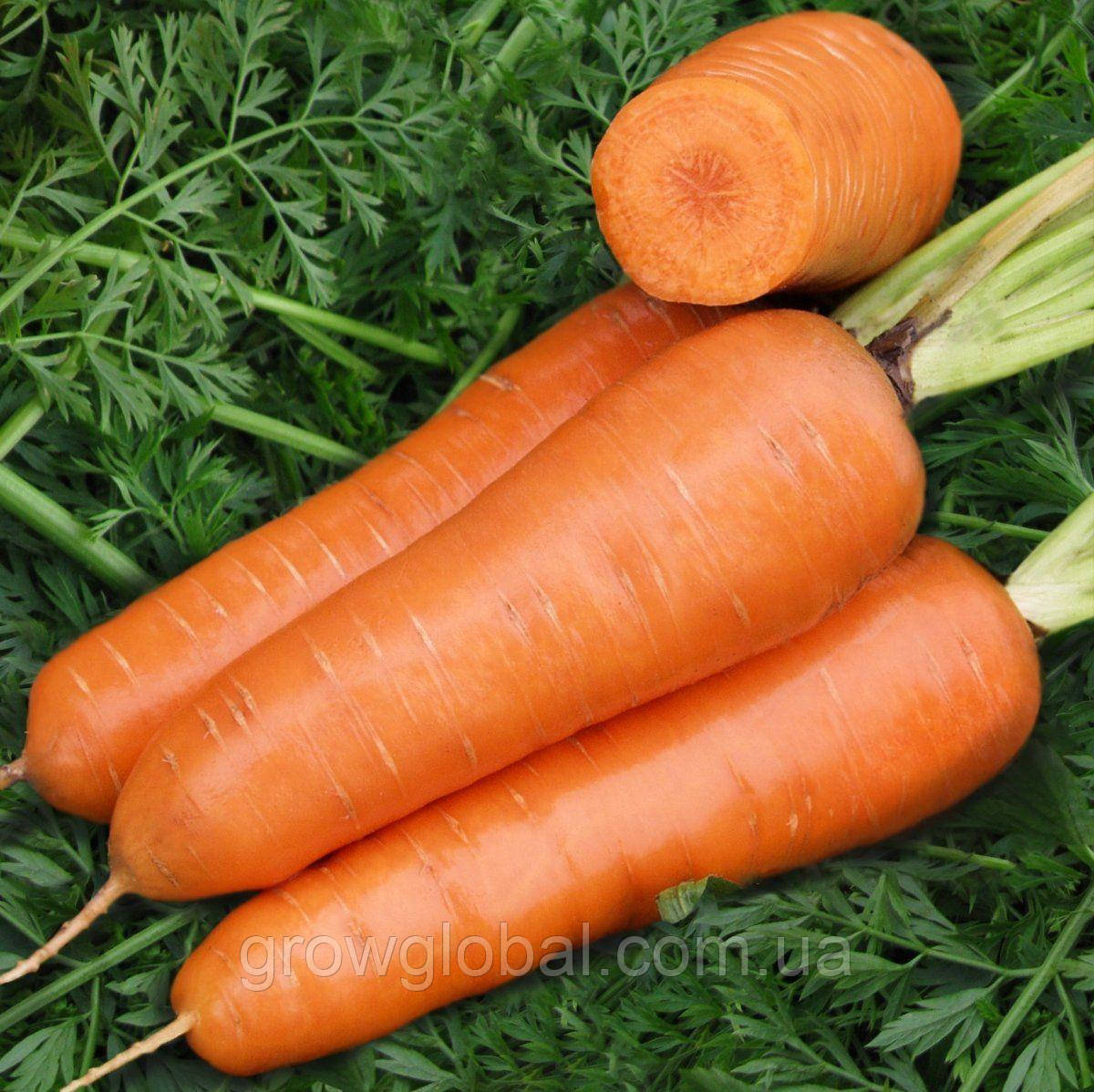 Насіння моркви Каротель (Ред кор)