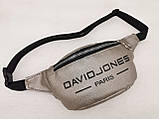 Сумка на пояс DAVIDJONES мистецтв. шкіра барсетки сумка жіночий і чоловічий пояс Бананка тільки гуртом, фото 2
