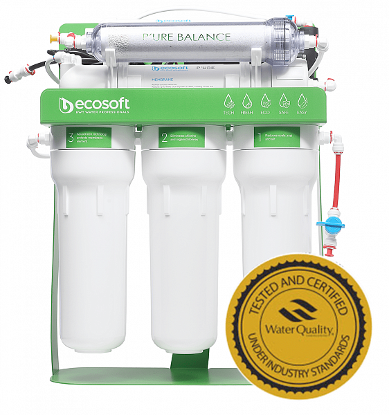 Фільтр зворотного осмосу Ecosoft P'URE BALANCE з помпою на станині