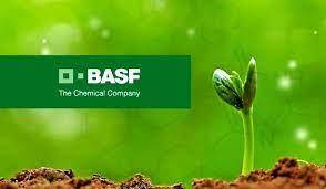 Засоби захисту рослин від компанії BASF
