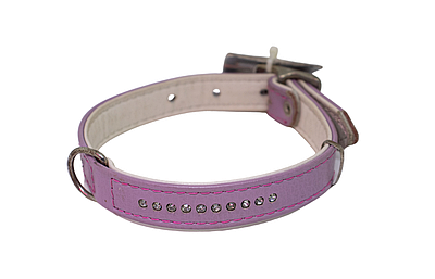 Нашийники шкіряні