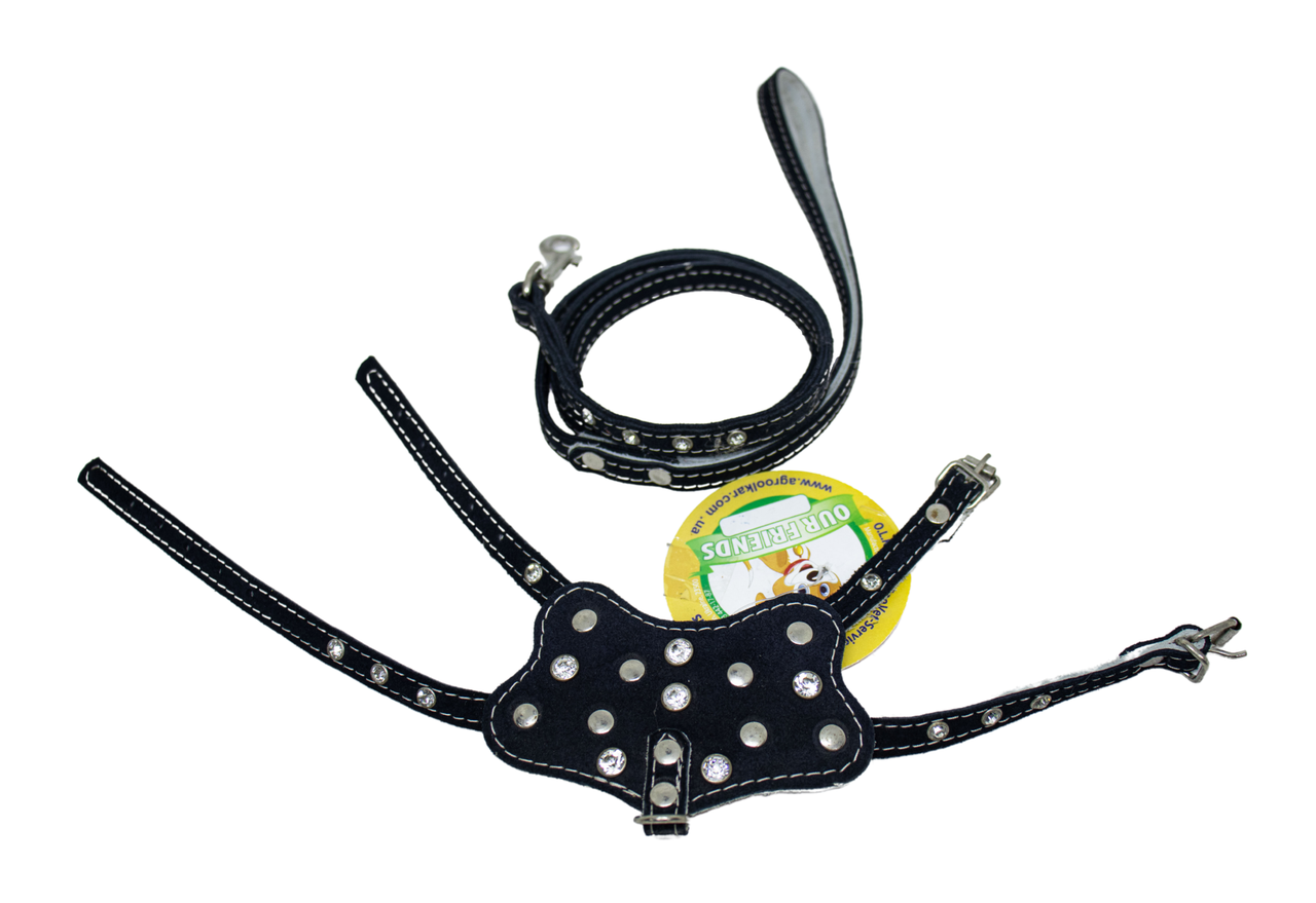 Комплект подвійний для декоративних порід собак прикрашений стразами 025 ВЕЛЮР: шлейка 815 + повід 793, фото 1