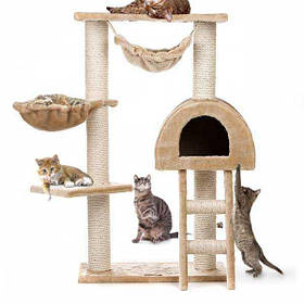 Кігетті та аксесуари для котів