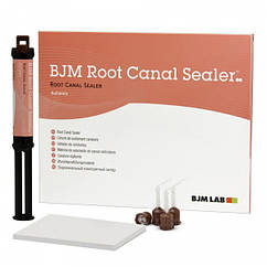 BJM Root canal sealer (рут канал силлер), 10 г, насадки