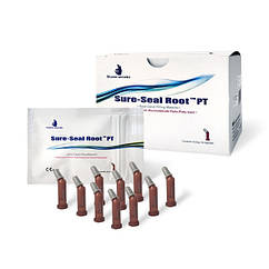 Sure seal root (putty) 10 канюль по 0.25 г