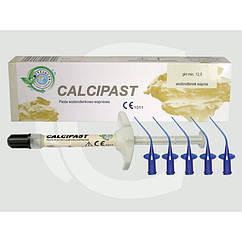 Calcipast Cerkamed (кальципаст) 1 шприц 2.1 г, насадки-аплікатора.