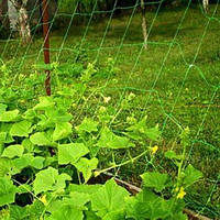 Сітка шпалерна для огірків і кучерявих рослин 1,7х10 м