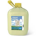 Гербіцид Корум, РК ( BASF) 5 л.