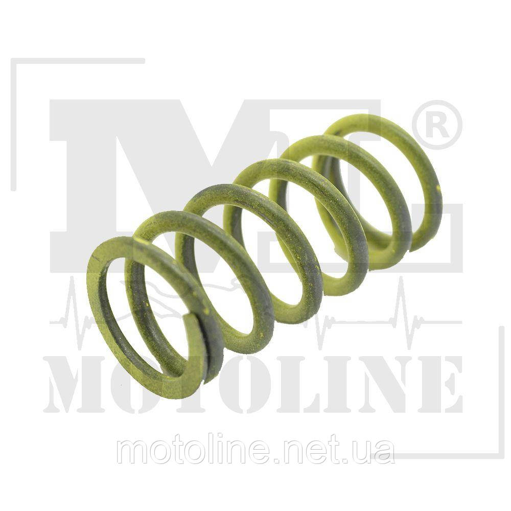 Пружина зчеплення Beta RR250/300 "13-"17 OEM